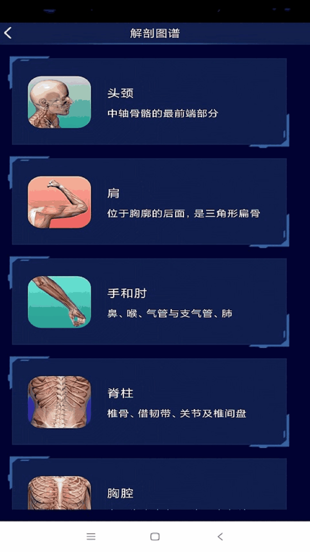 3D人体解剖图谱